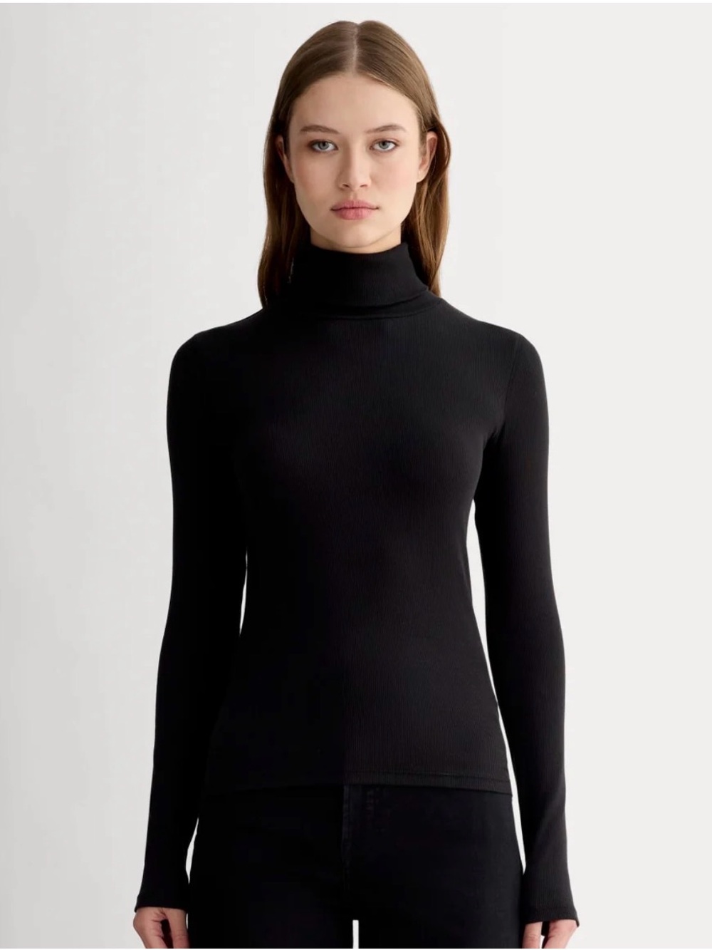 Everlane Luxe Rib Turtleneck in Black